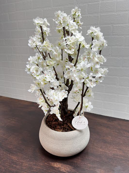Petite Blossom White