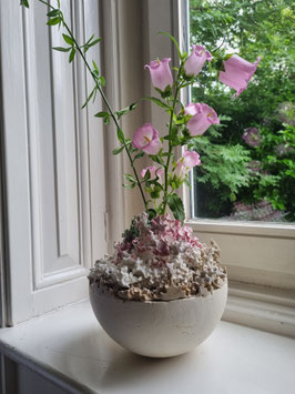 Korallenvase mit Halbkugelfuß und Rosa