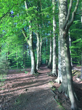 Inspirare 1:1 Coaching Solo Retreat : Endlich eine Auszeit für mein Sein mein inneres Kind und Bewusst manifestieren