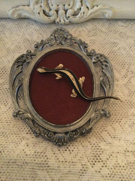 nr: 471 broche salamander zwart/glim