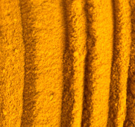 Curcuma