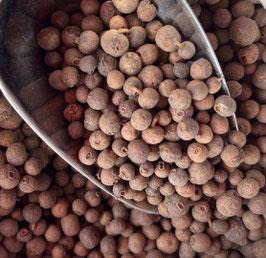 Piment de Jamaïque
