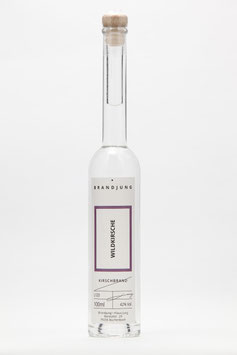 Wildkirsche (L120 3)
