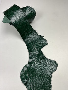 Caiman Flank green millenium