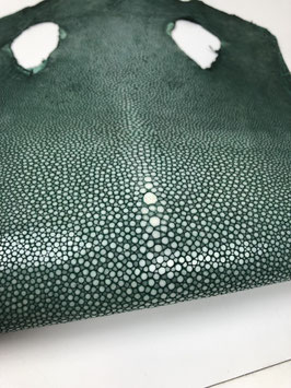 8" Stingray Leather emerald