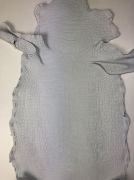 Wild Alligator Leather Belly crust