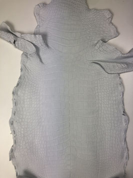 Wild Alligator Leather Belly crust
