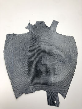 Lizard Leather black brush off white