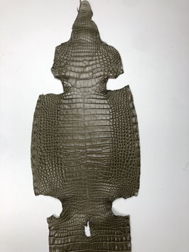 Alligator Leather dusty jade belly