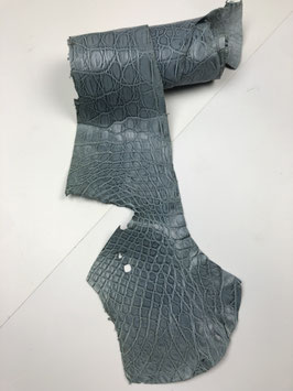 Caiman Flank grey