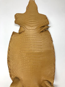 Alligator Leather belly amber