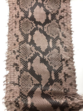 Python Reticulatus giant pink tan