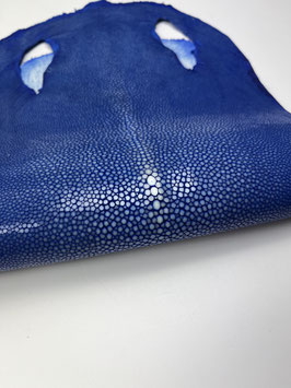 8" Stingray Leather electric blue