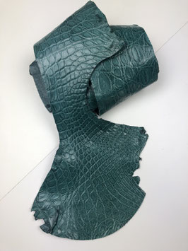 Caiman Flank cyan