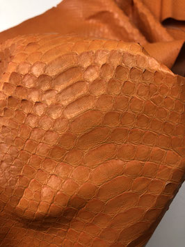 Python Reticulatus orange