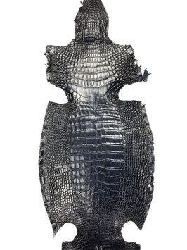 Alligator Leather blue noir belly