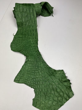 Caiman Flank light green matt