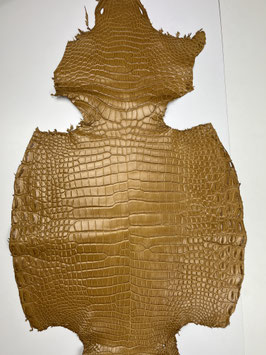 Crocodile Porosus honey