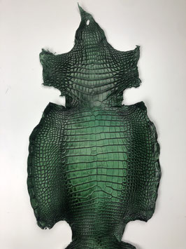 Alligator Leather green custom color
