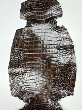 Alligator Leather brown