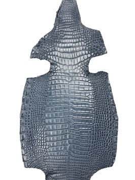Alligator Leather pond gris belly