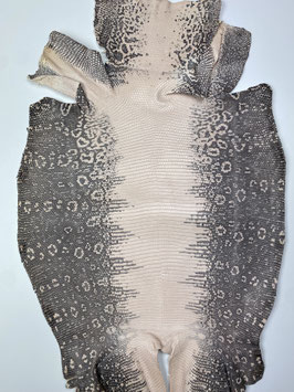 Lizard Leather rose