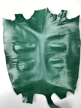 Lizard Leather fc emerald