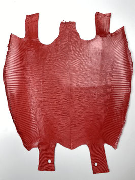 Lizard Leather pomodore fc