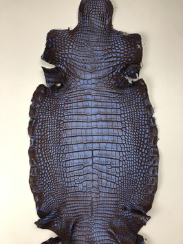 Alligator Leather morofo blue belly