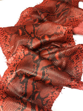 Python Reticulatus orange red