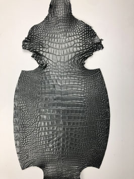 Alligator Leather gris belly