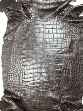 Alligator Leather moro belly big size
