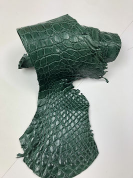 Caiman Flank forest