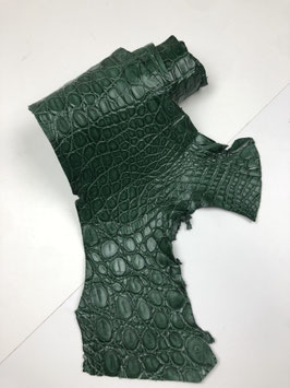 Caiman Flank verde