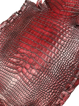 Alligator Leather bordeaux belly