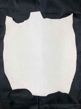 Lizard Leather light blanc 2000