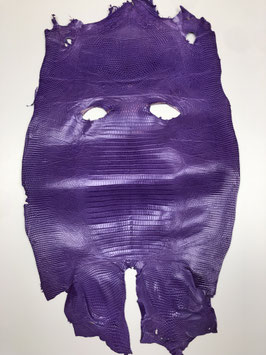 Tejus purple