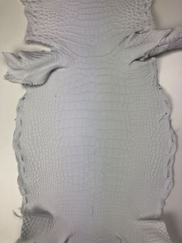 Alligator Leather Belly crust