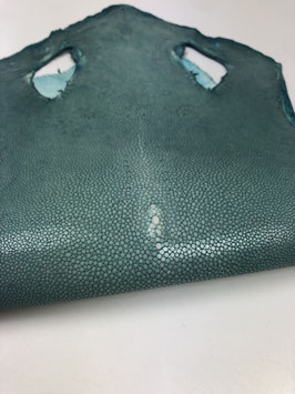 8" Stingray Leather light blue