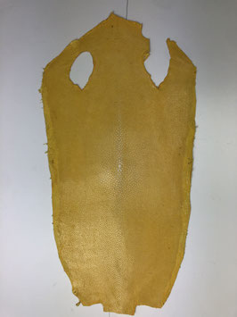 8" Stingray Leather yellow