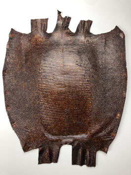 Lizard Leather t. moro