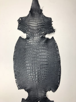 Alligator Leather blue marine belly