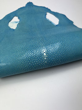 8" Stingray Leather aqua blue