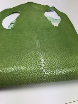 8" Stingray Leather apple green