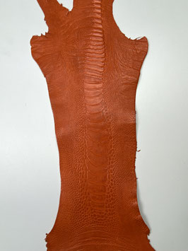 Ostrich leg orange