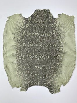 Lizard Leather green tea