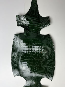 Alligator Leather vert III