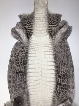 Crocodile Niloticus himalaya soft matt