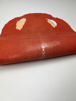 8" Stingray Leather coral
