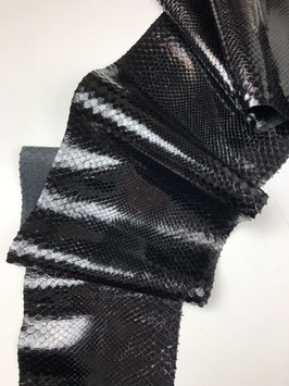 Python Bivittatus black glazed